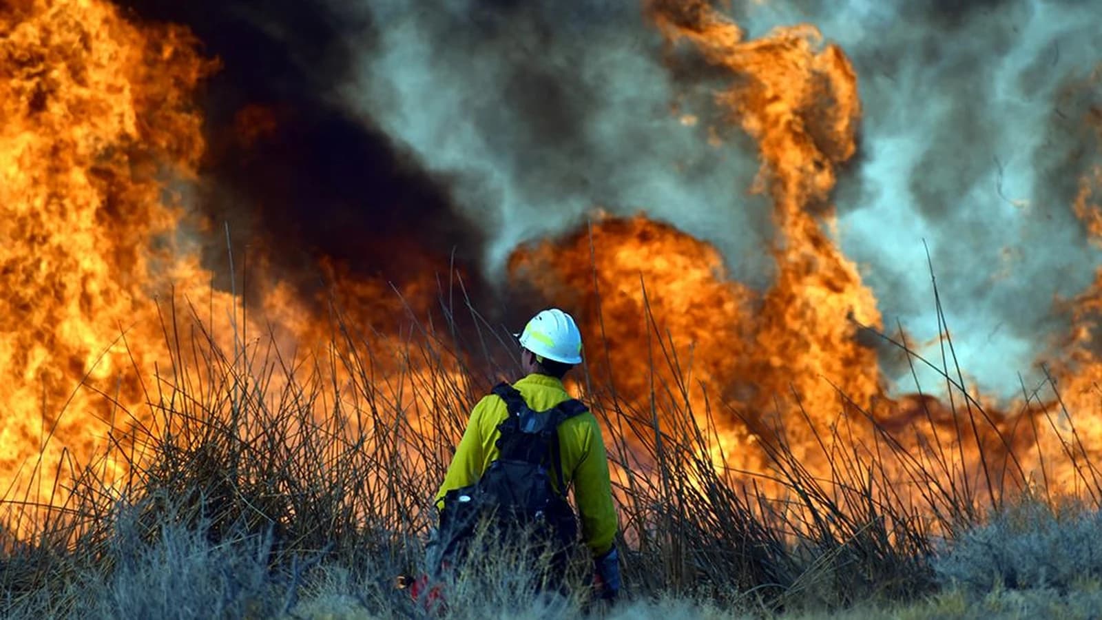 12,500 Federal Workers Could Qualify for 25% Prescribed-Fire Pay. It Is Not a 25% Annual Raise.